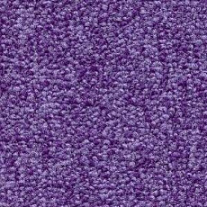 Ковролин Radici Trotter Viola 2421 фото 1 | FLOORDEALER